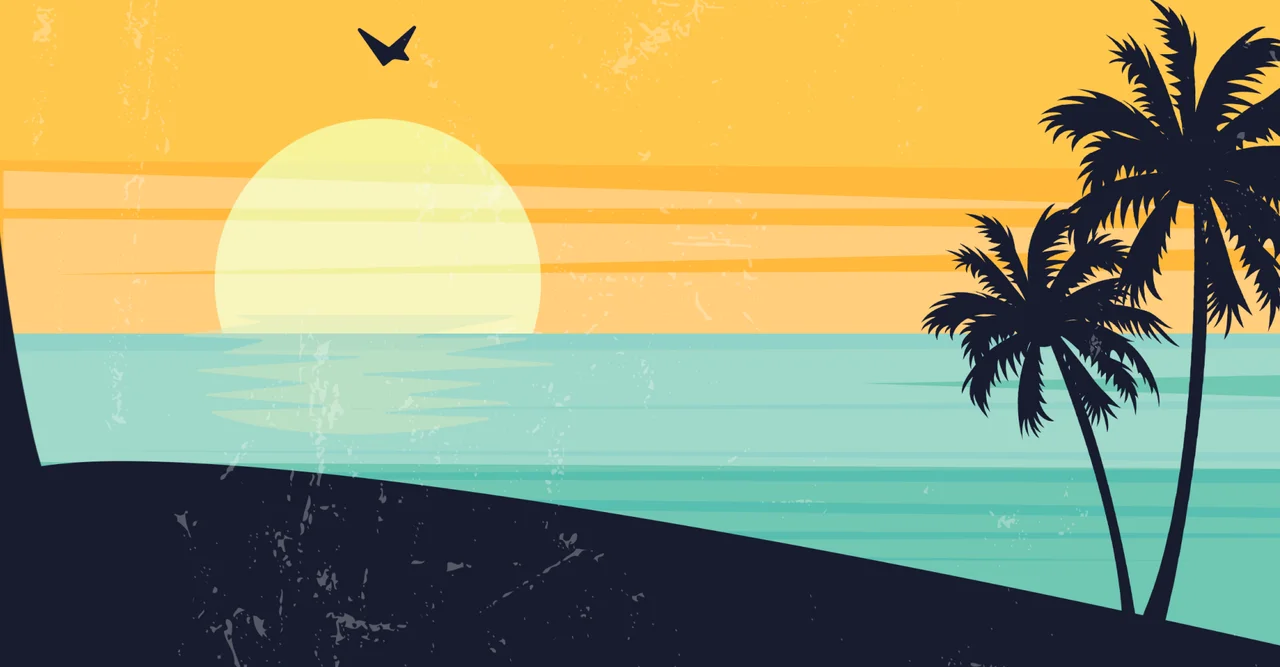 Race cover