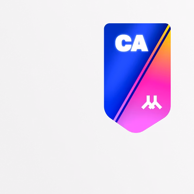 Флаг бегового дивизиона X-RUN CA