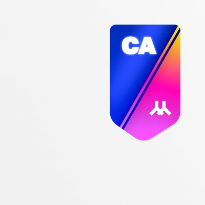Флаг бегового дивизиона X-RUN CA