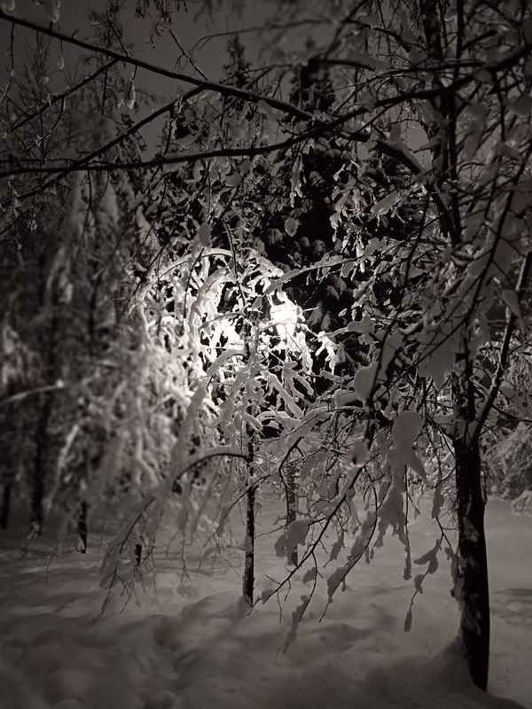 Фотография с пробежки на забеге X-RUN