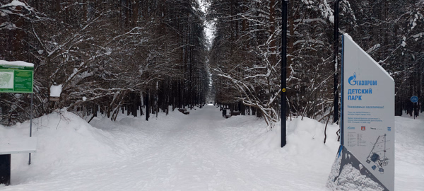 Фотография с пробежки на забеге X-RUN