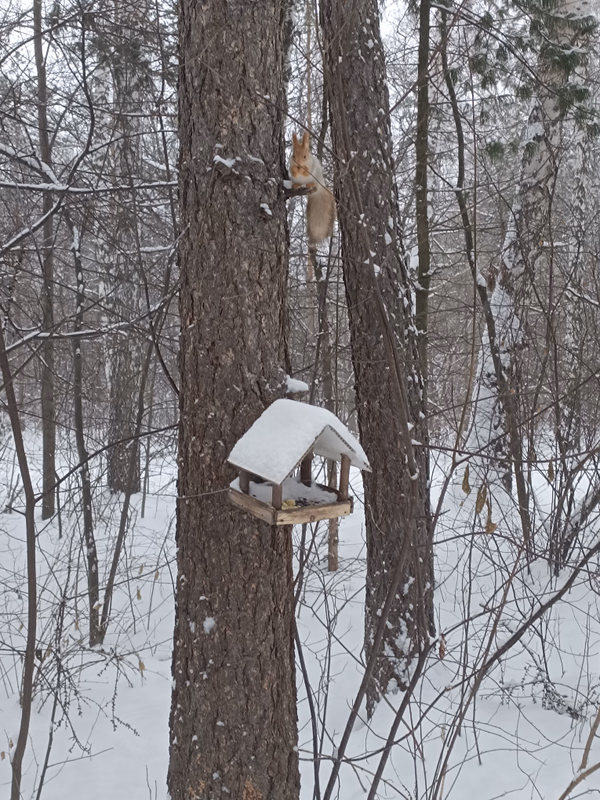 Фотография с пробежки на забеге X-RUN