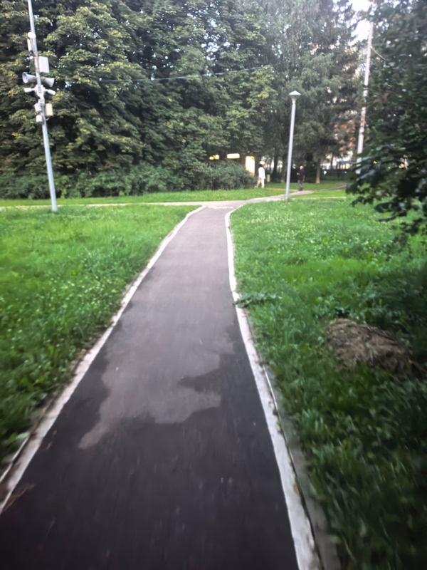 Фотография с пробежки на забеге X-RUN