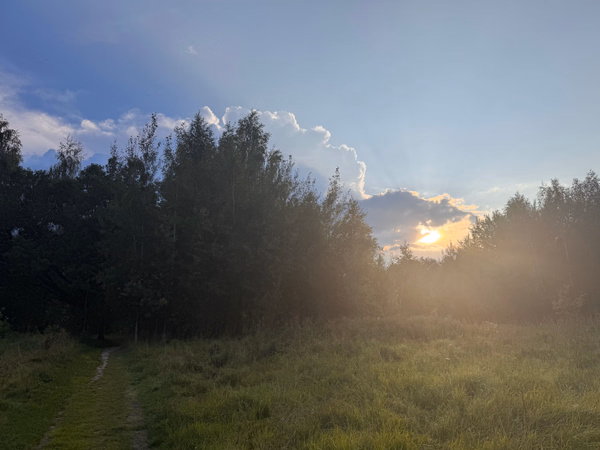 Фотография с пробежки на забеге X-RUN