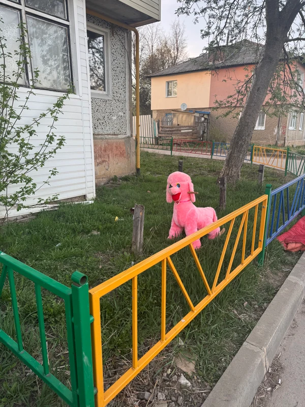 Фотография с пробежки на забеге X-RUN