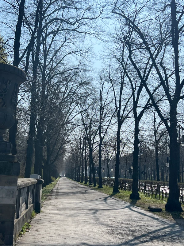 Фотография с пробежки на забеге X-RUN