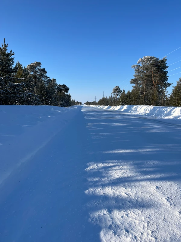 Photo of from the run at X-RUN