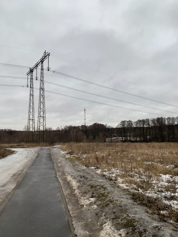 Фотография с пробежки на забеге X-RUN