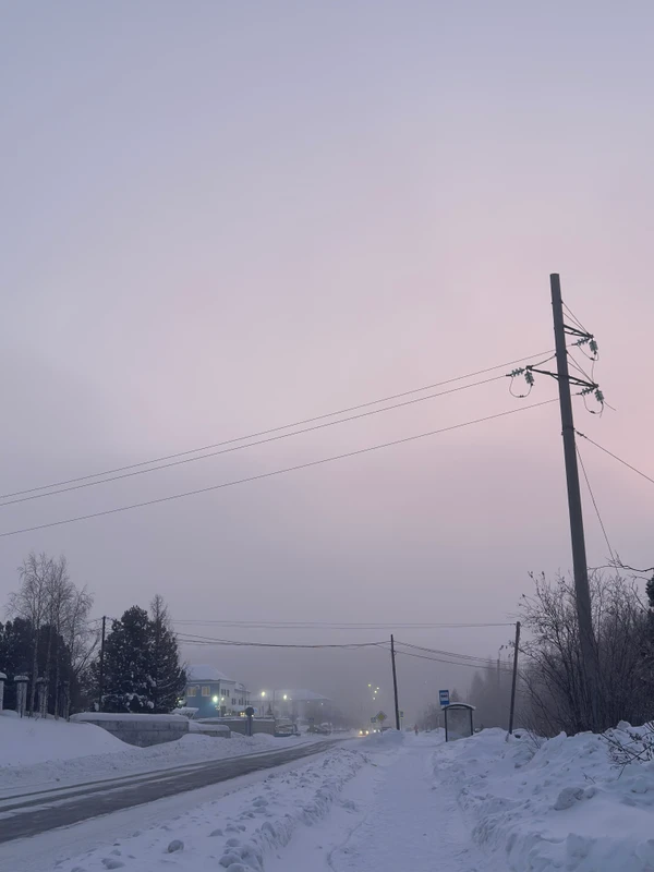 Photo of from the run at X-RUN