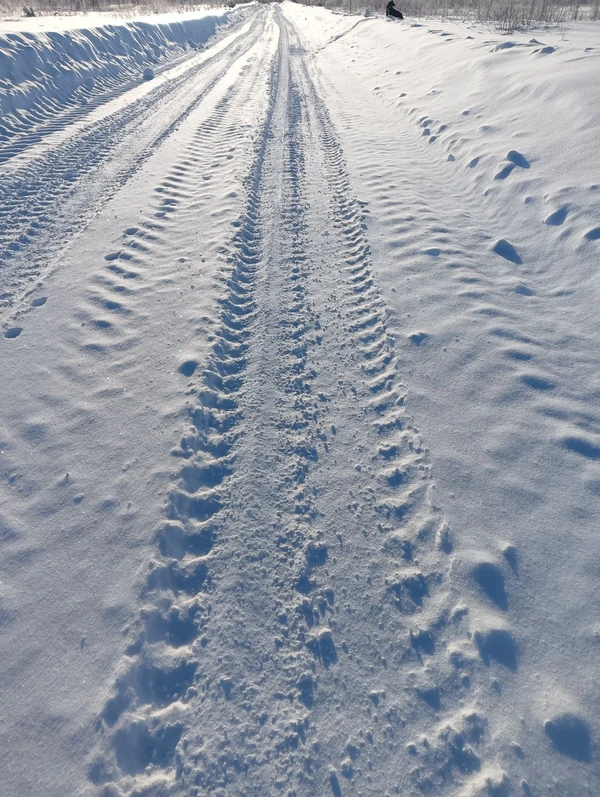 Photo of from the run at X-RUN