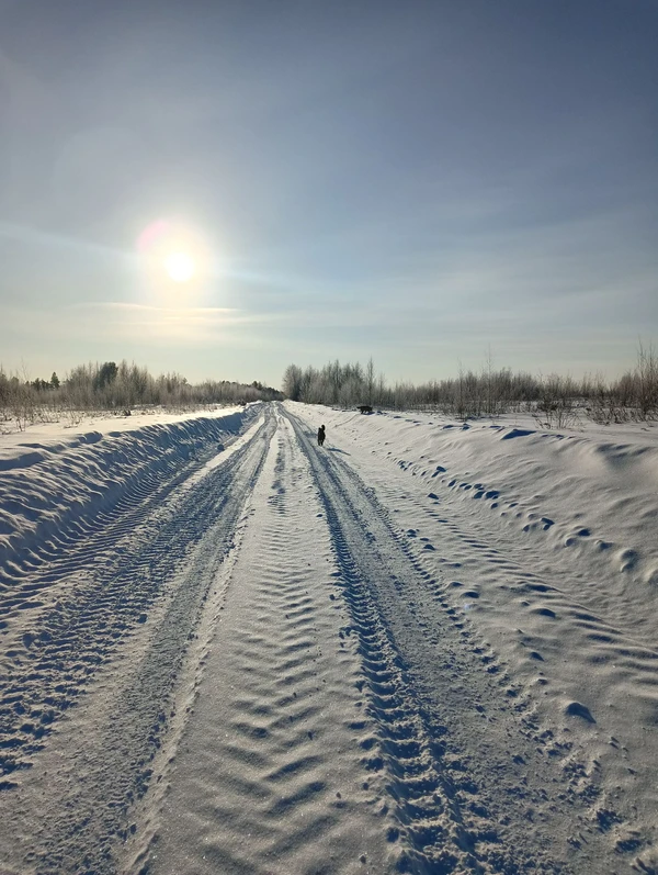 Photo of from the run at X-RUN
