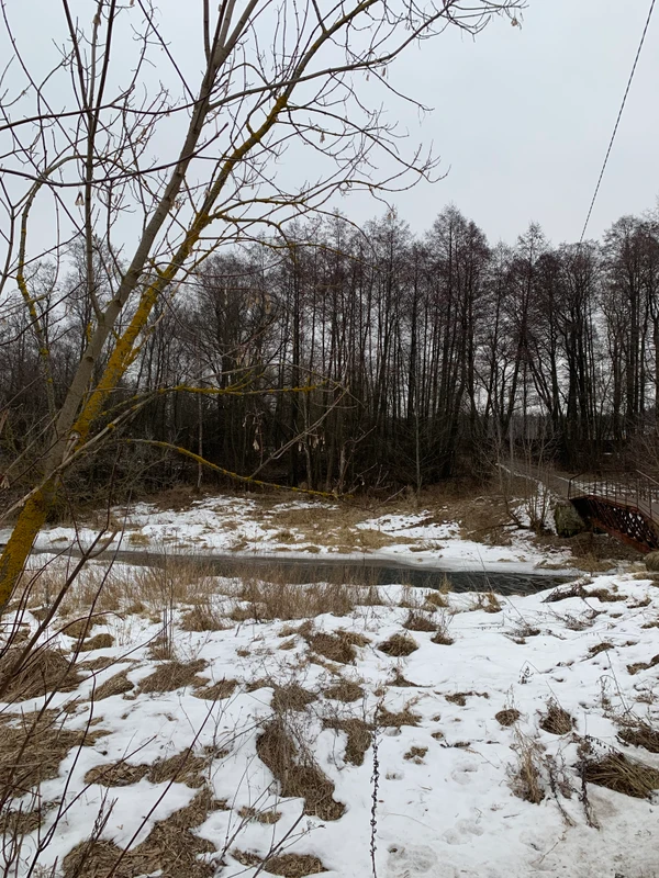 Фотография с пробежки на забеге X-RUN