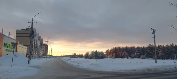 Photo of from the run at X-RUN