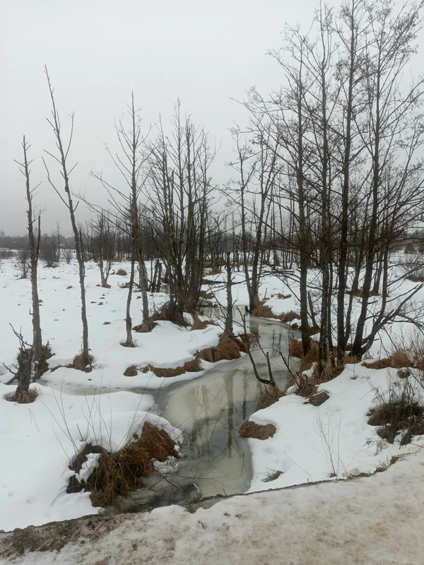 Photo of from the run at X-RUN