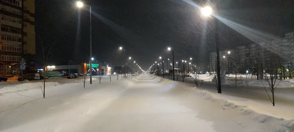 Photo of from the run at X-RUN