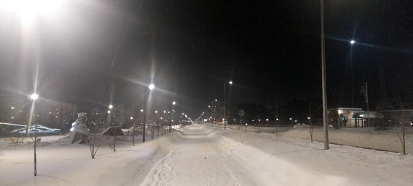 Photo of from the run at X-RUN