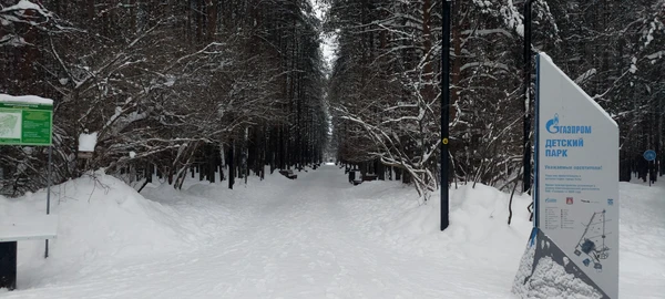 Photo of from the run at X-RUN