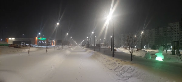 Photo of from the run at X-RUN