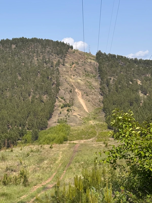 Photo of from the run at X-RUN