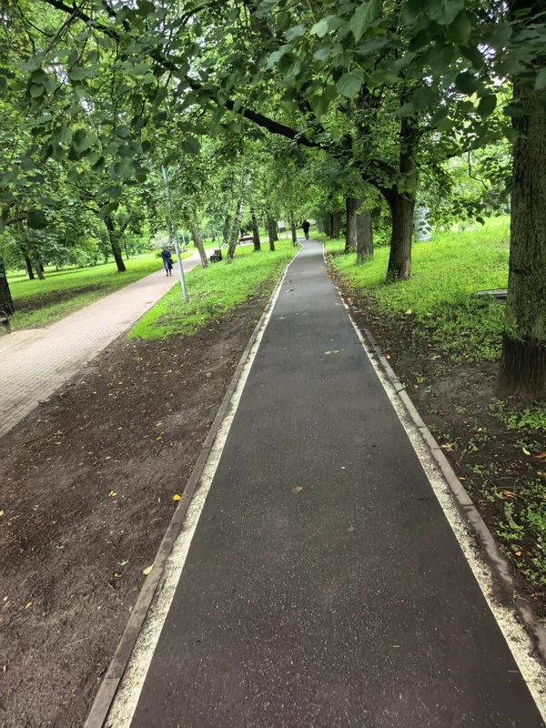 Photo of from the run at X-RUN
