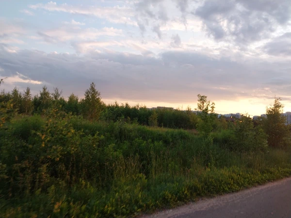 Photo of from the run at X-RUN