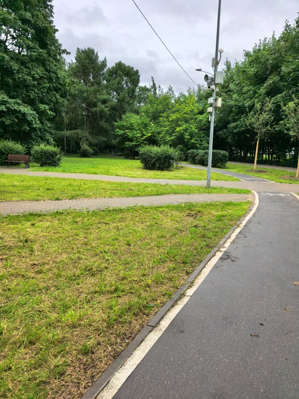 Photo of from the run at X-RUN