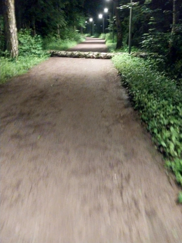 Photo of from the run at X-RUN