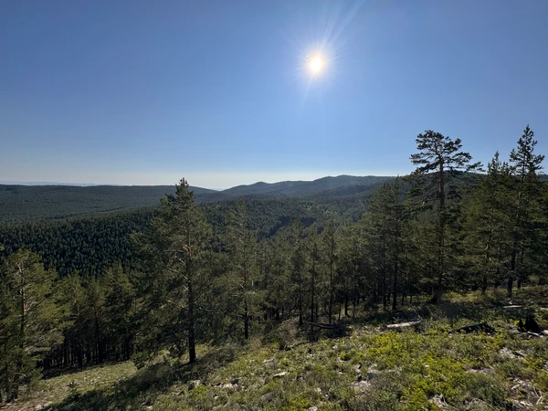Photo of from the run at X-RUN