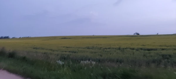 Фотография с пробежки на забеге X-RUN