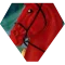 Race logo Petrov-Vodkin